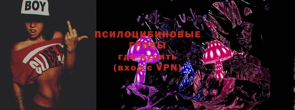 дурь Волоколамск